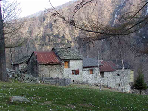 Baite Rosei