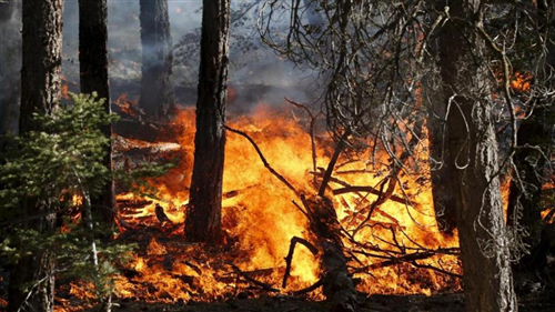 Stato di massima pericolosità per incendi boschivi